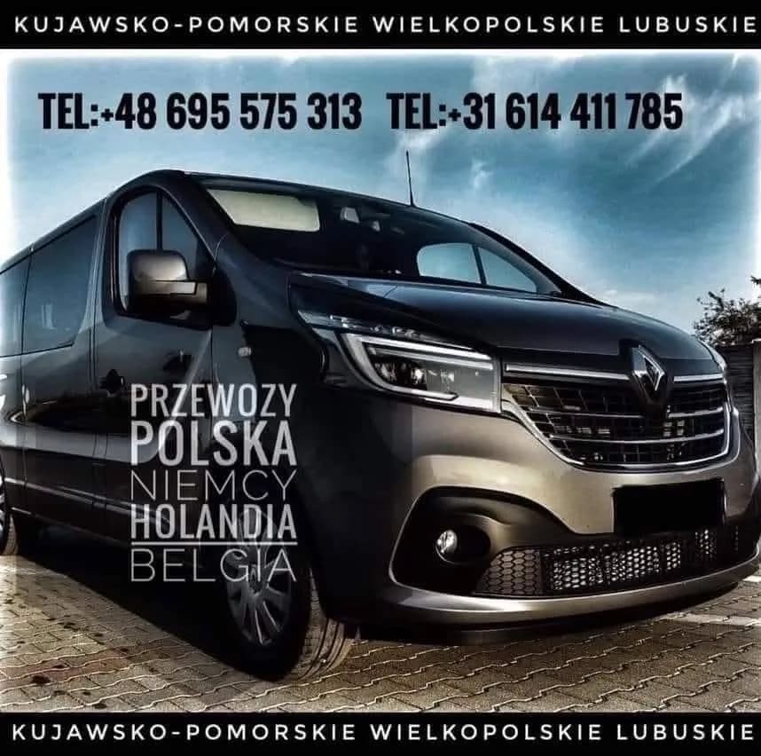 Zdjęcie floty firmy DJbus